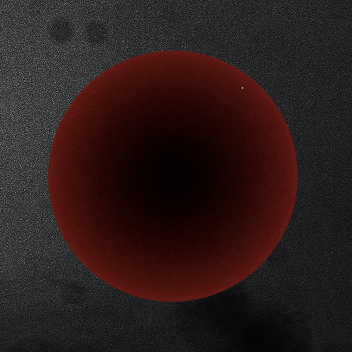 Punctum Cover